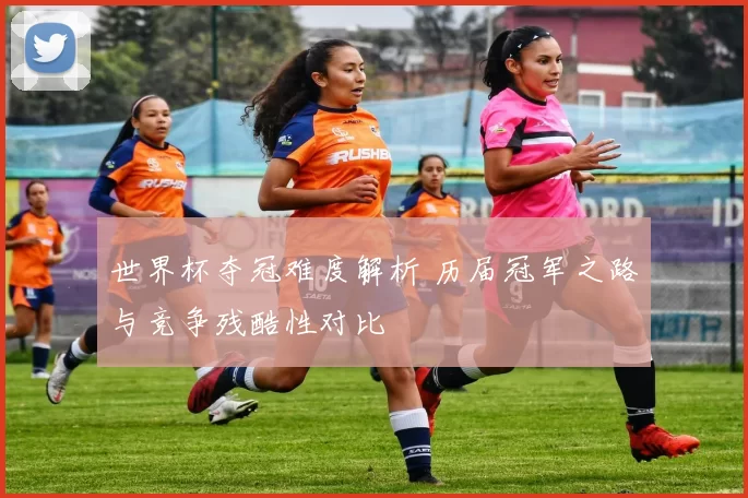世界杯夺冠难度解析 历届冠军之路与竞争残酷性对比