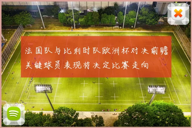 法国队与比利时队欧洲杯对决前瞻关键球员表现将决定比赛走向