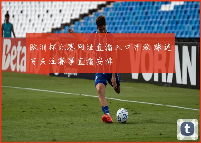 欧洲杯比赛网址直播入口开放 球迷可关注赛事直播安排