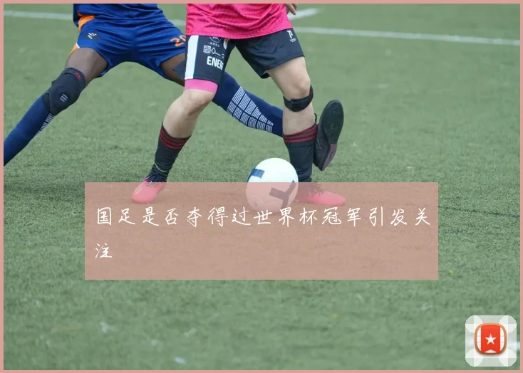 国足是否夺得过世界杯冠军引发关注