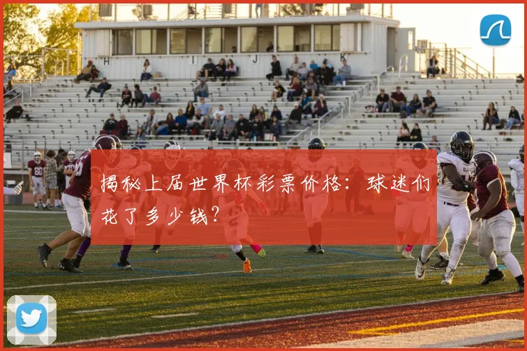 揭秘上届世界杯彩票价格:球迷们花了多少钱?