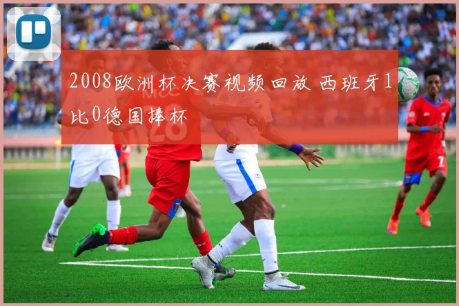 2008欧洲杯决赛视频回放 西班牙1比0德国捧杯