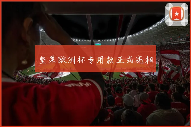 坚果欧洲杯专用款正式亮相