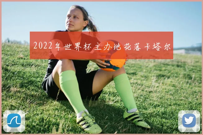 2022年世界杯主办地花落卡塔尔