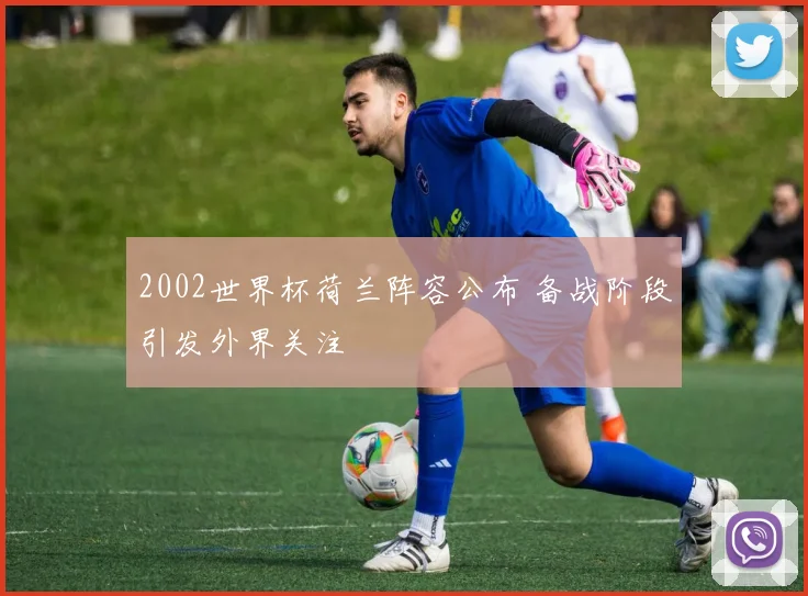 2002世界杯荷兰阵容公布 备战阶段引发外界关注