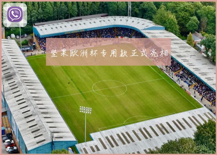 坚果欧洲杯专用款正式亮相