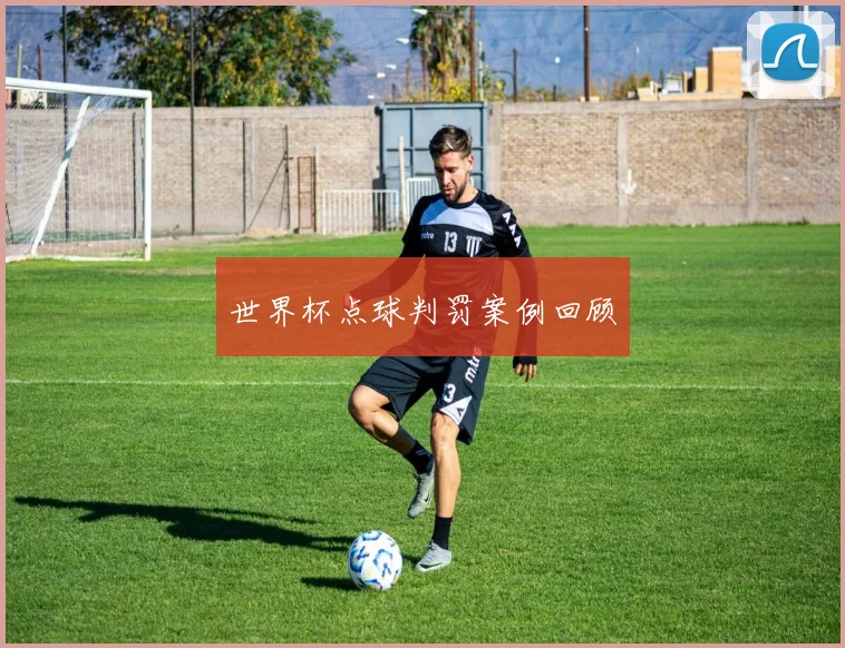 世界杯点球判罚案例回顾