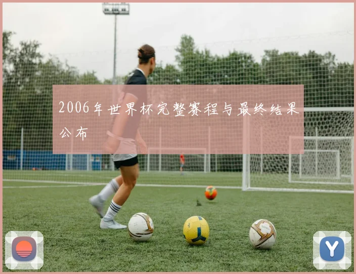 2006年世界杯完整赛程与最终结果公布
