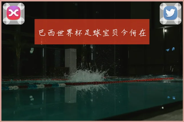 巴西世界杯足球宝贝今何在