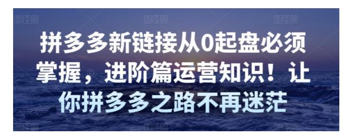 快速掌握拼多多新链接起盘运营知识(从0起盘核心技巧)