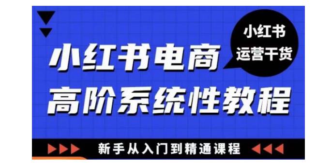 入门到精通小红书电商高阶系统教程(小白也能学会)