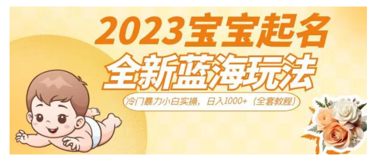 2023宝宝起名全新玩法(小白也能玩的冷门蓝海项目)