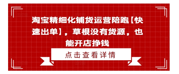 淘宝精细化铺货运营陪跑项目(助力快速出单)