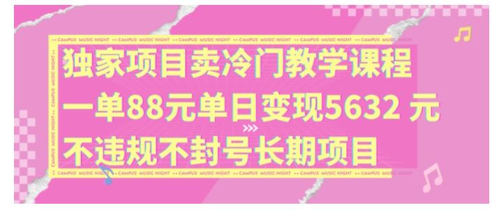 独家卖冷门教学课程违规不封号长期项目(一单利润88元)